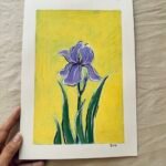 Iris - Day 3