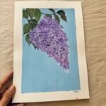 Lilac- Day 5