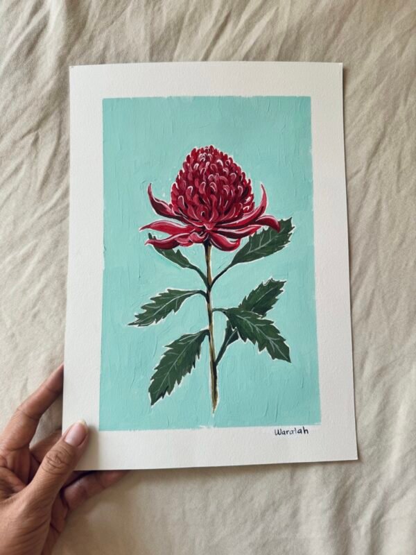 Waratah - Day 18