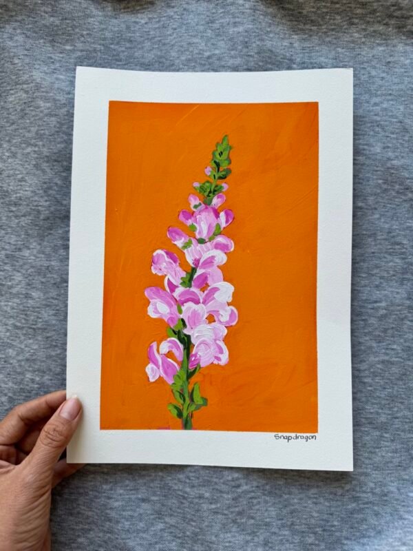 IMG_0003 Large Snapdragon - Day 33