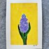 Hyacinth - Day 36