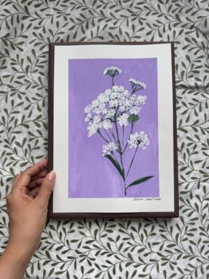 Queen Anne's Lace - Day46