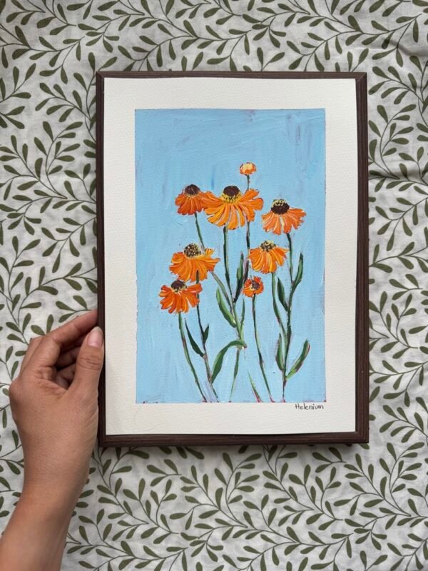 IMG_0457 Large Helenium - Day 44