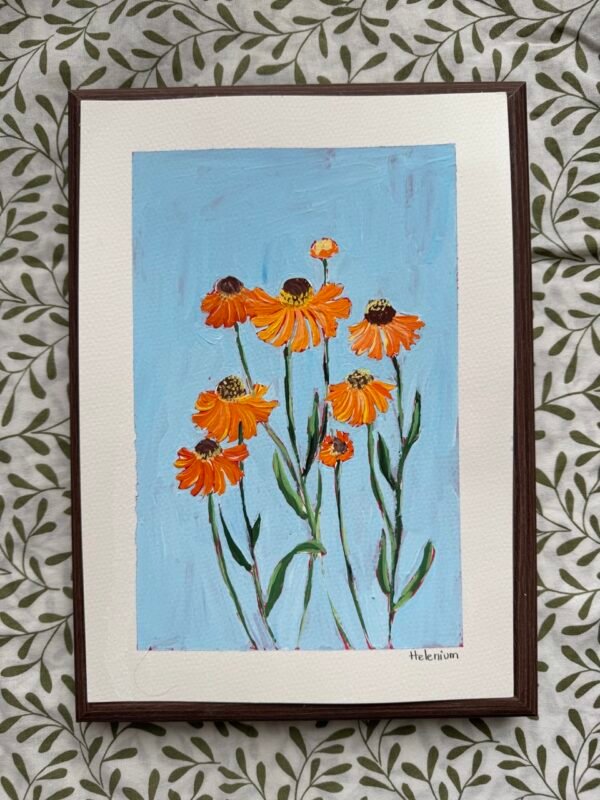 IMG_0458 Large Helenium - Day 44