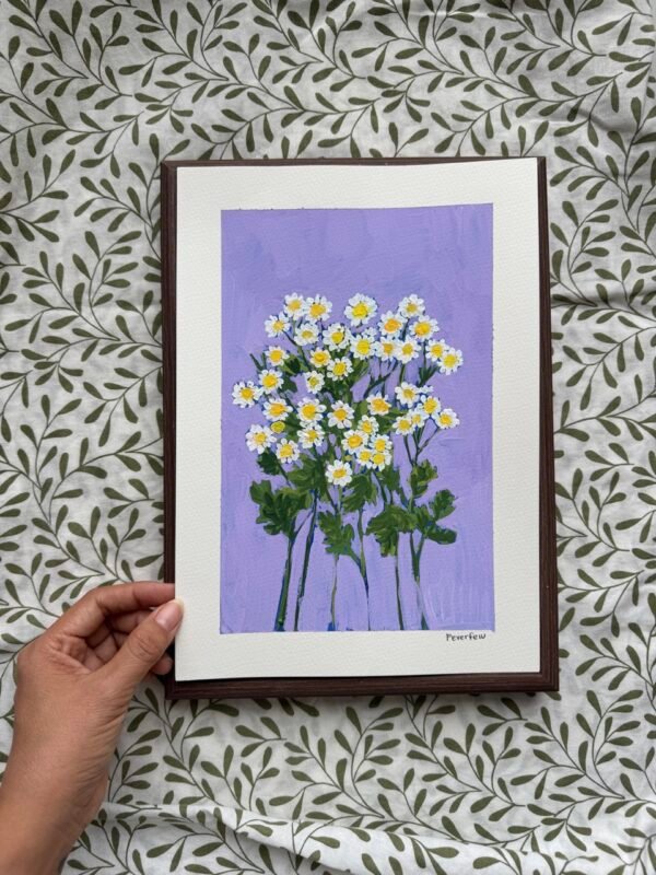 IMG_0460 Large Feverfew - Day 45