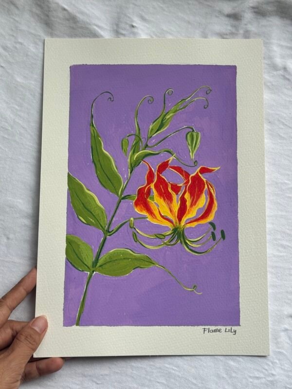 Flame Lily  - Day 29