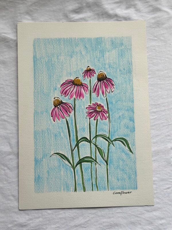 IMG_9587 Large Coneflower - Day 34