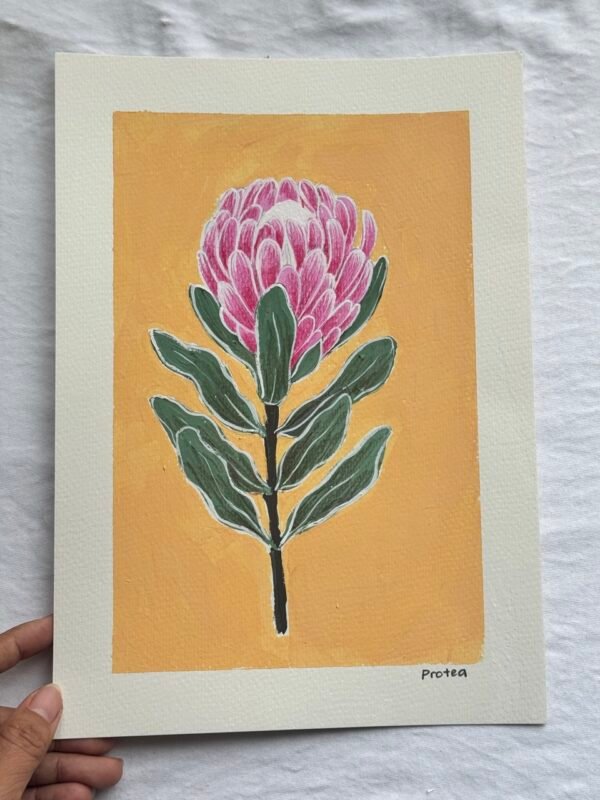 IMG_9590 Large Protea - Day 22