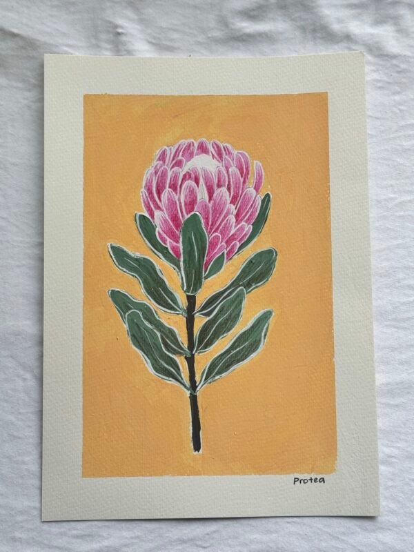 IMG_9591 Large Protea - Day 22