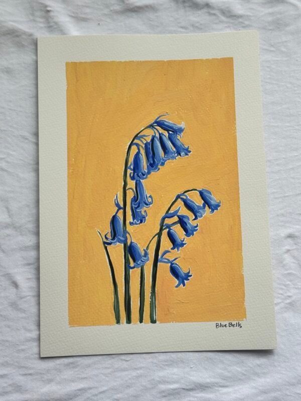 IMG_9595 Large Bluebells - Day 24