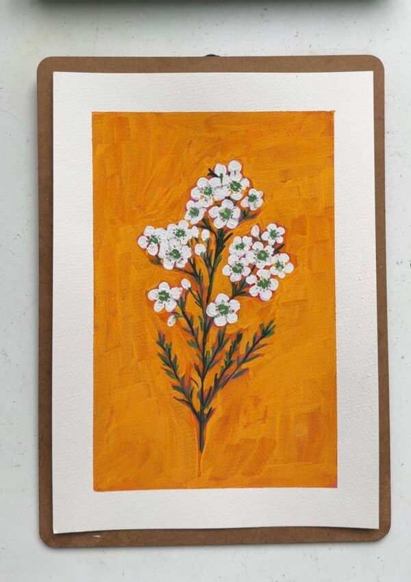 IMG_9758 Wax Flower - Day 30