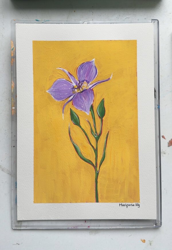 IMG_9779 Mariposa Lily - Day 27