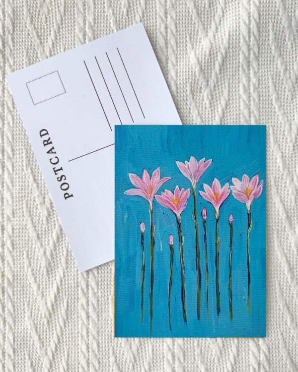 13 RAIN LILY Rain Lily