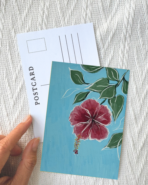 23 hibiscus Hibiscus