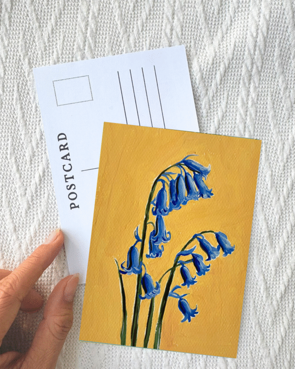 24 Bluebells Bluebells