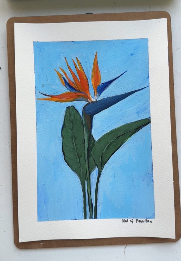 49 Bird of Paradise Bird of the Paradise - Day 49