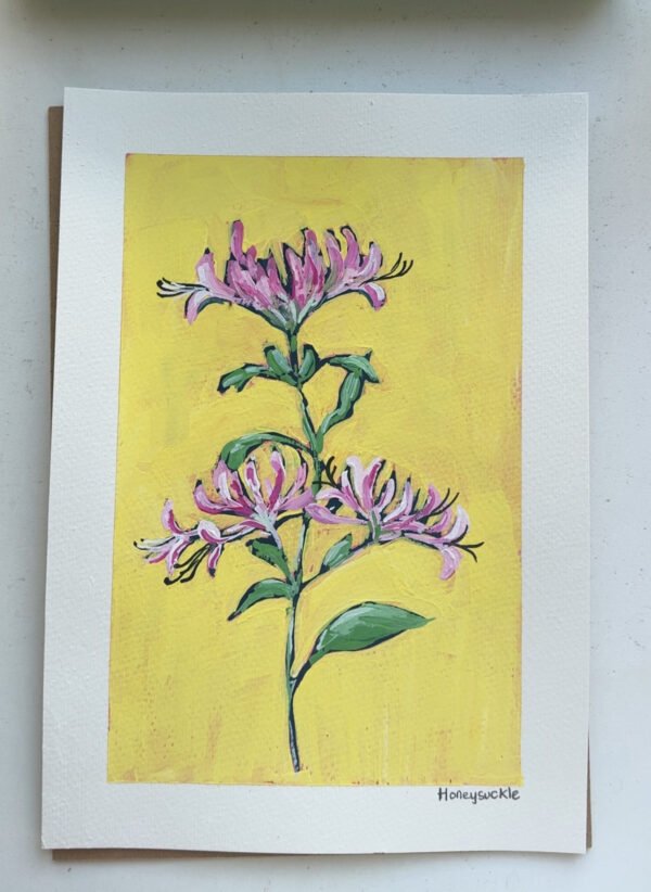 60 Honeysuckle Honeysuckle - Day 60