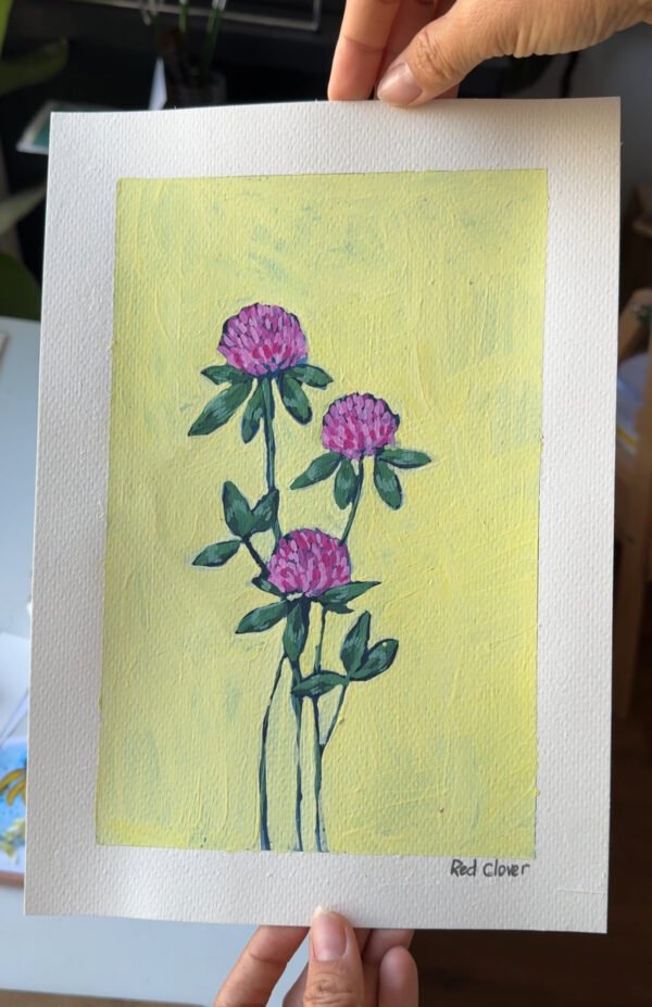 62 Red Clover Red Clover - Day 62