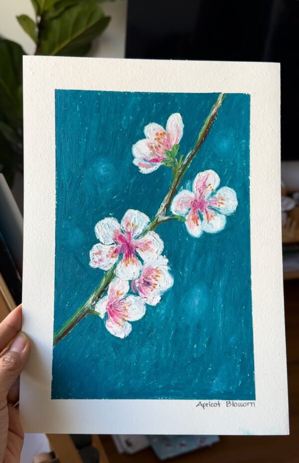 63 Apricot Blossom Apricot Blossom - Day 63