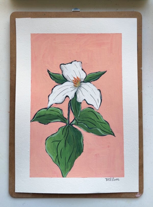 67 Trillium Trillium - Day 67