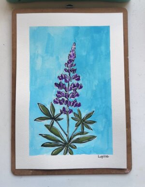 Lupine - Day 79